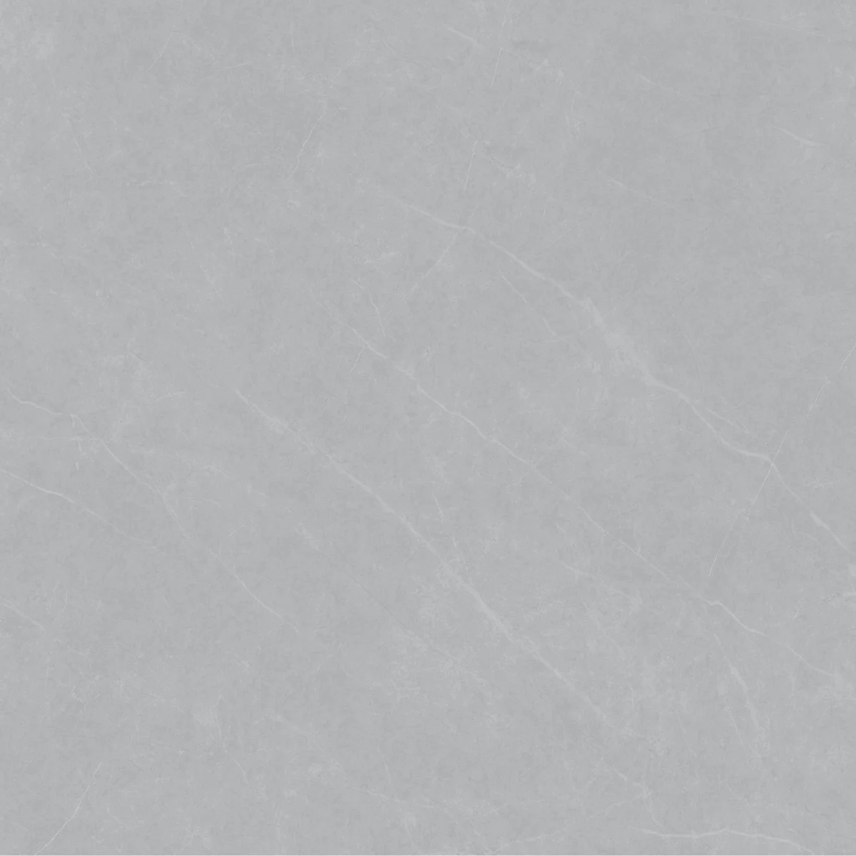 QLI-8080-006-SM